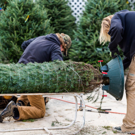 Install tips for fresh tree converts!